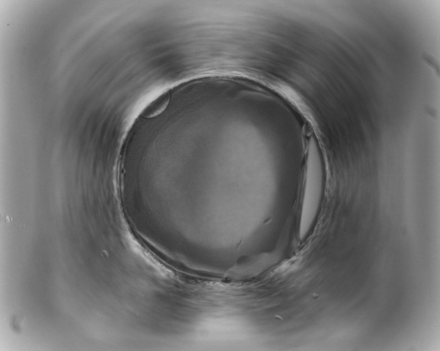 X0000099540958200805301458