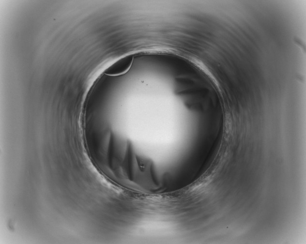 X0000099540959200805301458