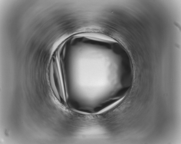 X0000099540960200805301458