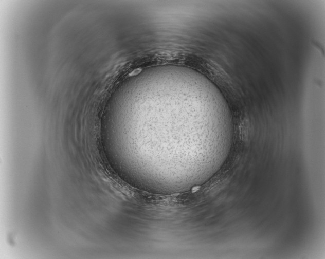 X0000099540961200805301457