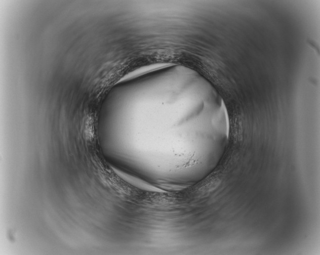 X0000099540962200805301457