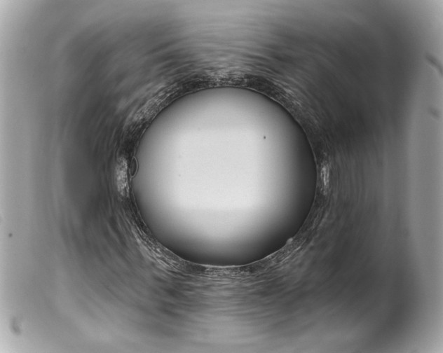 X0000099540963200805301457