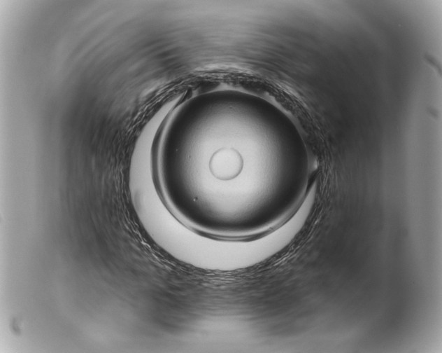 X0000099540965200805301457