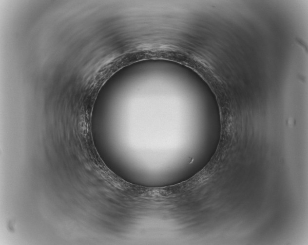 X0000099540966200805301457