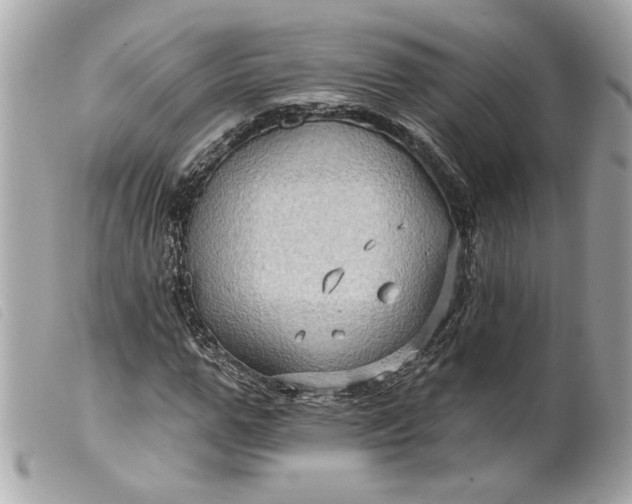 X0000099540967200805301457