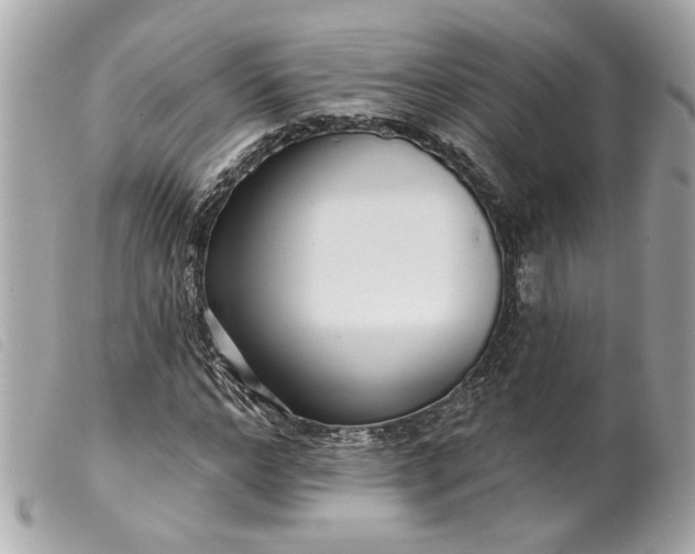 X0000099540968200805301457