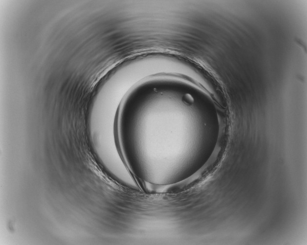 X0000099540969200805301457