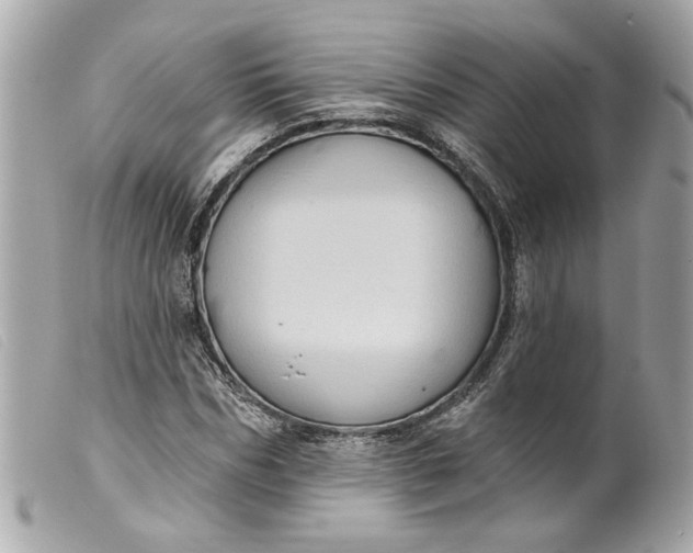 X0000099540970200805301457