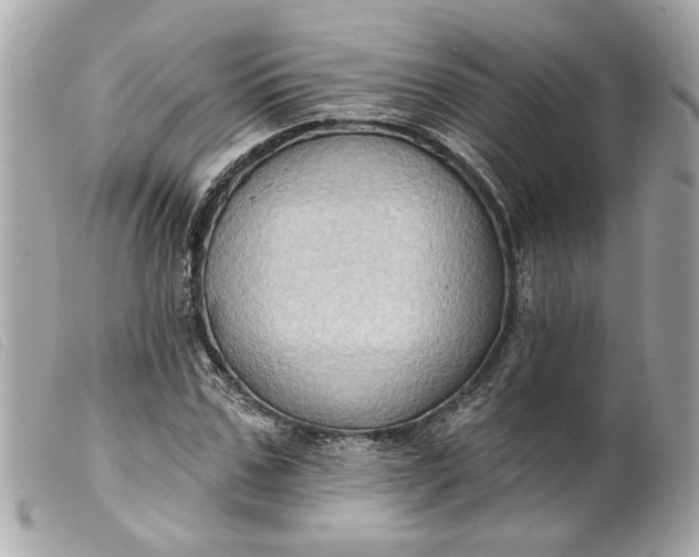 X0000099540971200805301457