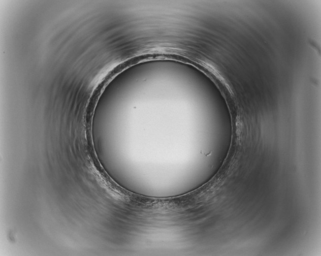 X0000099540972200805301457