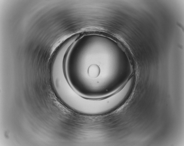 X0000099540973200805301457