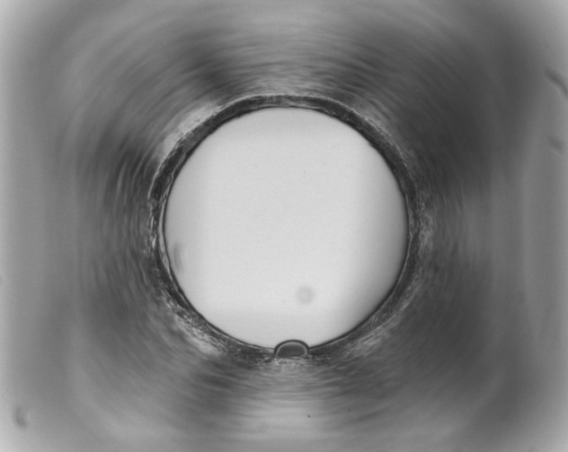 X0000099540974200805301457