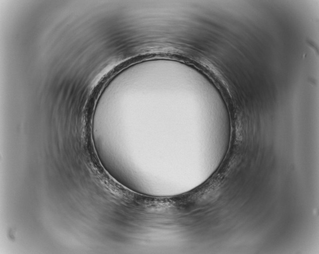 X0000099540975200805301457