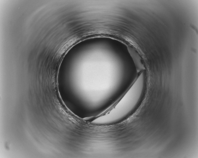 X0000099540977200805301457