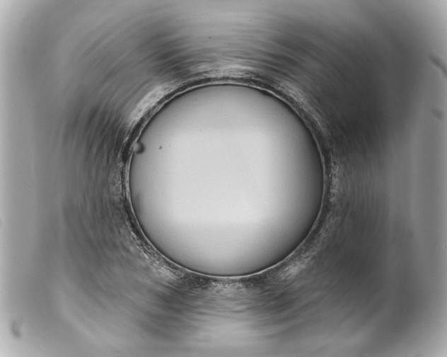 X0000099540978200805301457