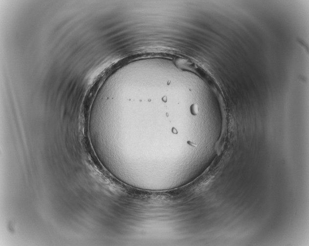 X0000099540979200805301457