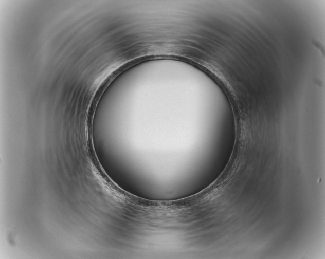 X0000099540980200805301457