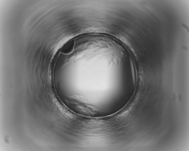 X0000099540981200805301457