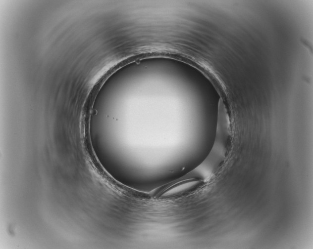 X0000099540983200805301457