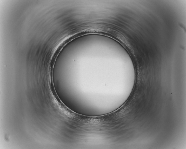 X0000099540984200805301457