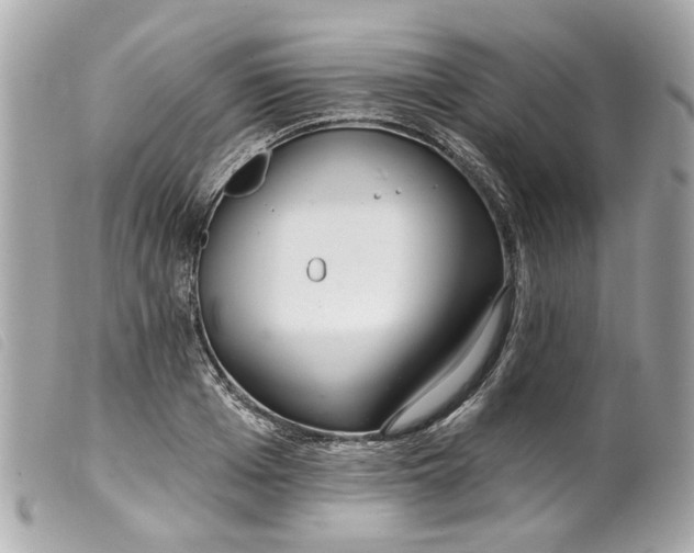 X0000099540985200805301457