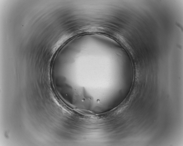 X0000099540986200805301457