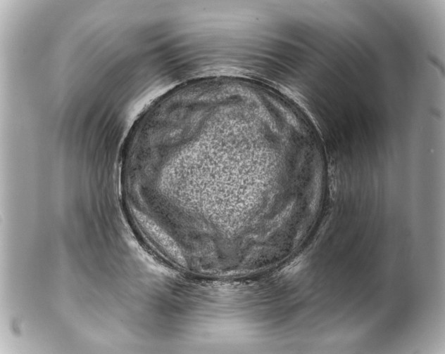 X0000099540987200805301457