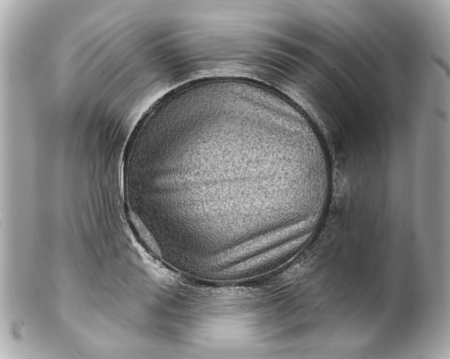 X0000099540988200805301457