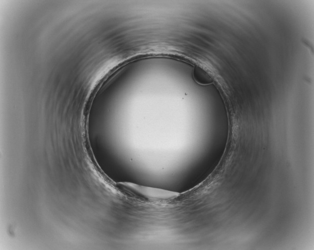 X0000099540990200805301457