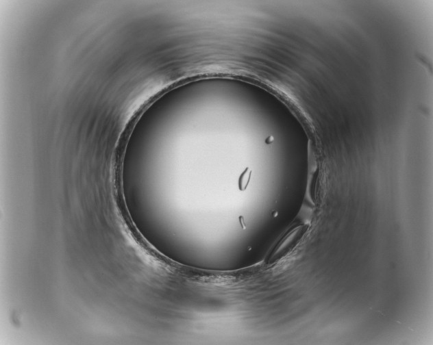 X0000099540991200805301457