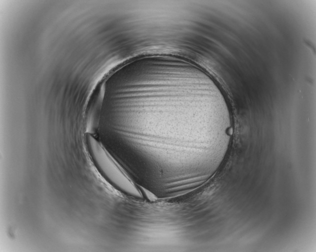 X0000099540992200805301457