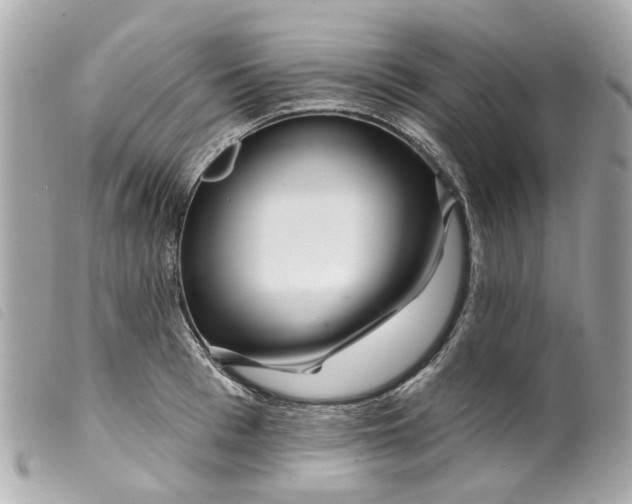 X0000099540993200805301457