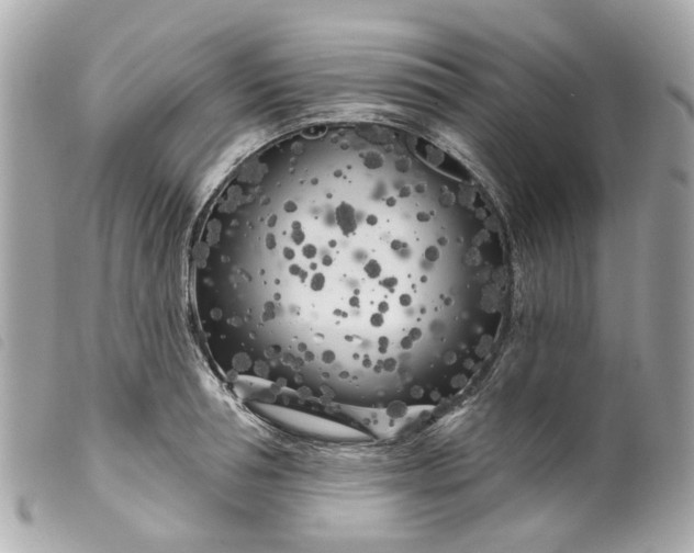 X0000099540994200805301457