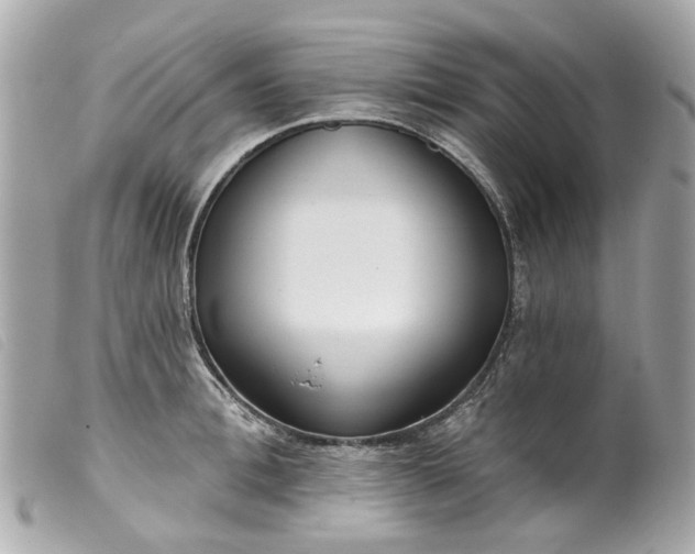 X0000099540996200805301457