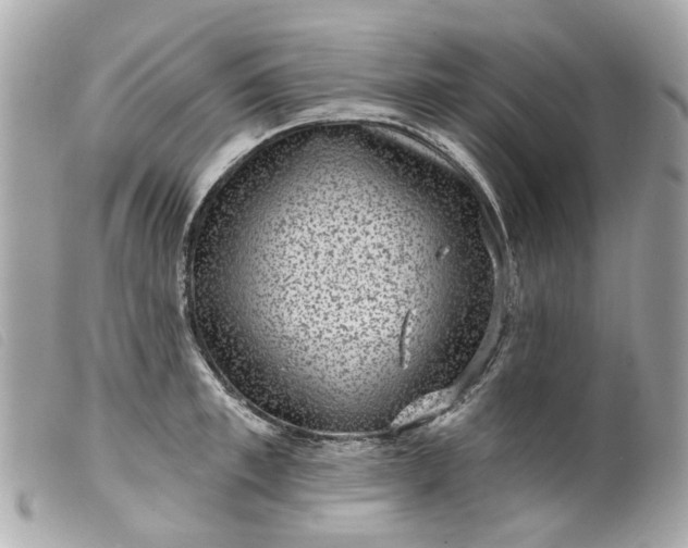 X0000099540997200805301457