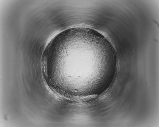 X0000099540998200805301457