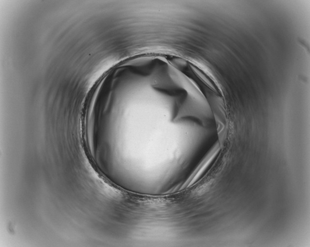 X0000099540999200805301457