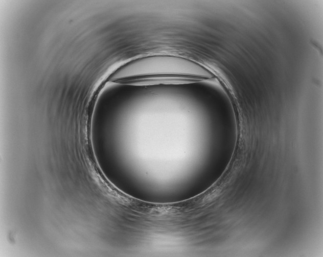 X0000099541000200805301457