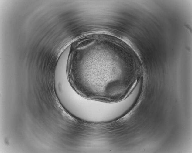 X0000099541001200805301457