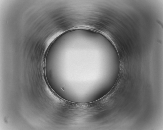 X0000099541003200805301457