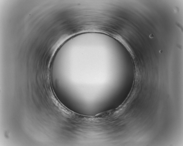 X0000099541004200805301457