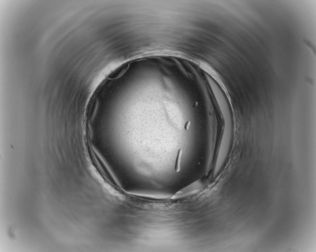 X0000099541005200805301457