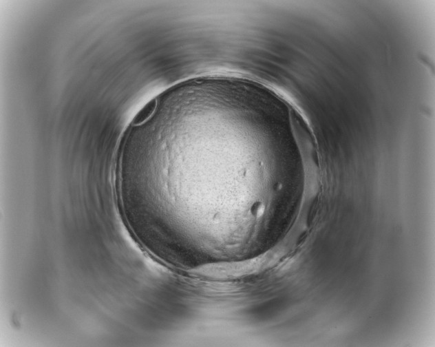 X0000099541007200805301456