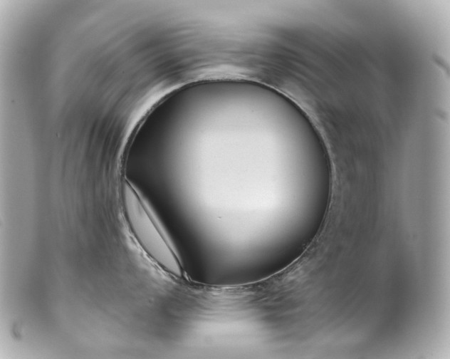 X0000099541008200805301456