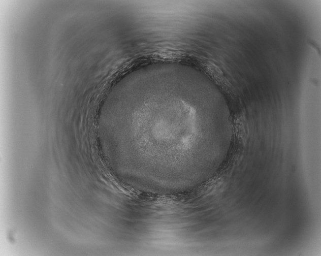 X0000099541009200805301456