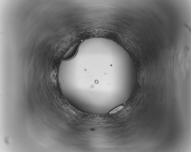 X0000099541010200805301456