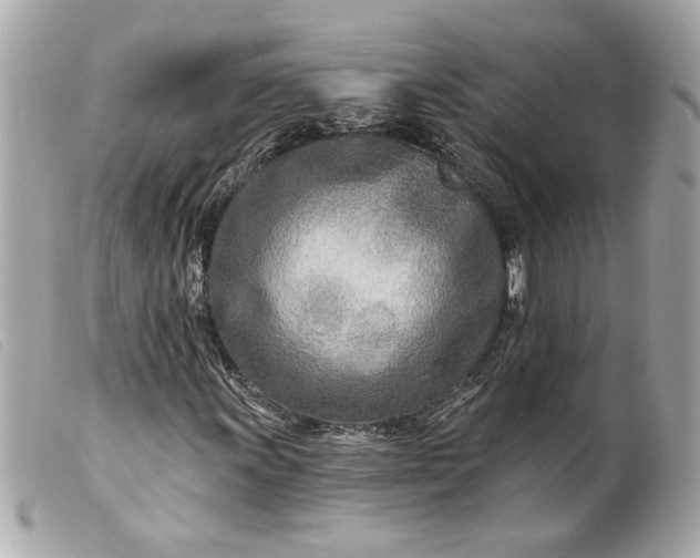 X0000099541011200805301456