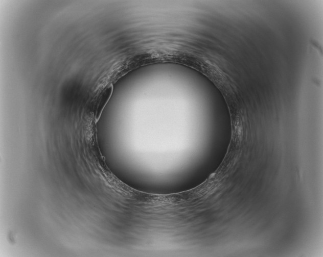 X0000099541012200805301456