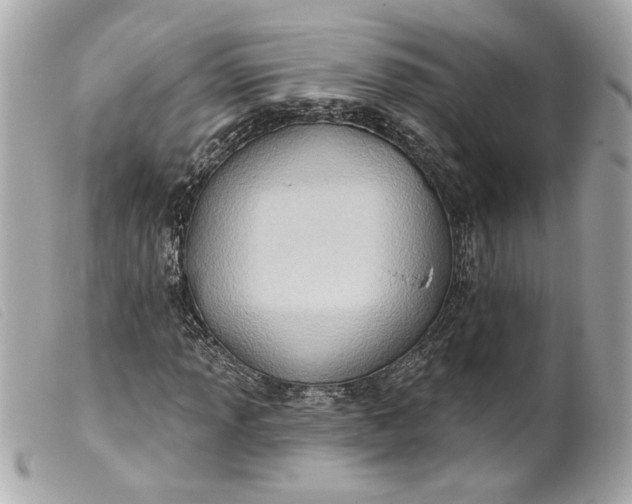 X0000099541013200805301456