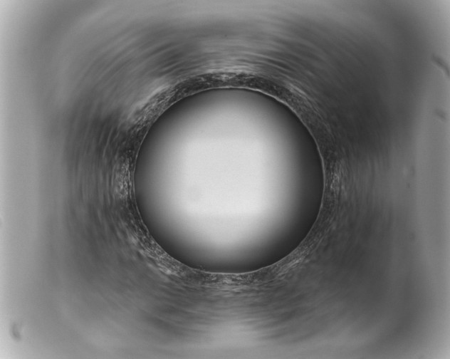 X0000099541014200805301456